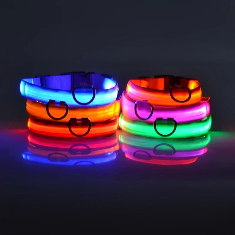 LED Safety Dog Leash – Glows for Night Walks - Pet Vip Store