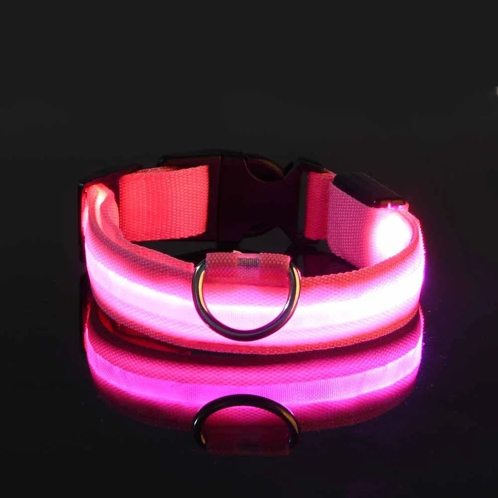 LED Safety Dog Leash – Glows for Night Walks - Pet Vip Store