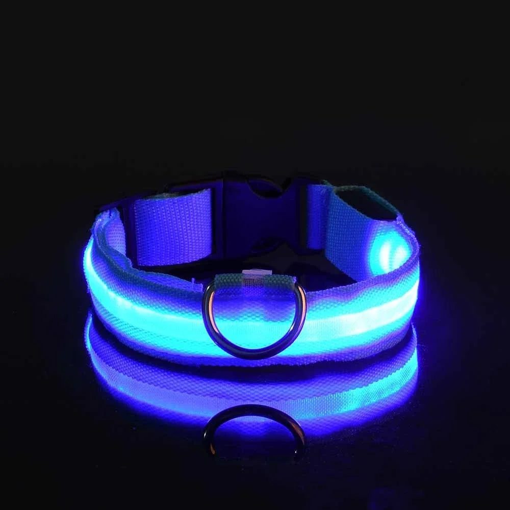 LED Safety Dog Leash – Glows for Night Walks - Pet Vip Store
