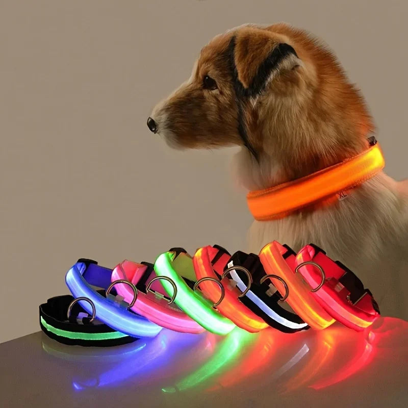 LED Safety Dog Leash – Glows for Night Walks - Pet Vip Store