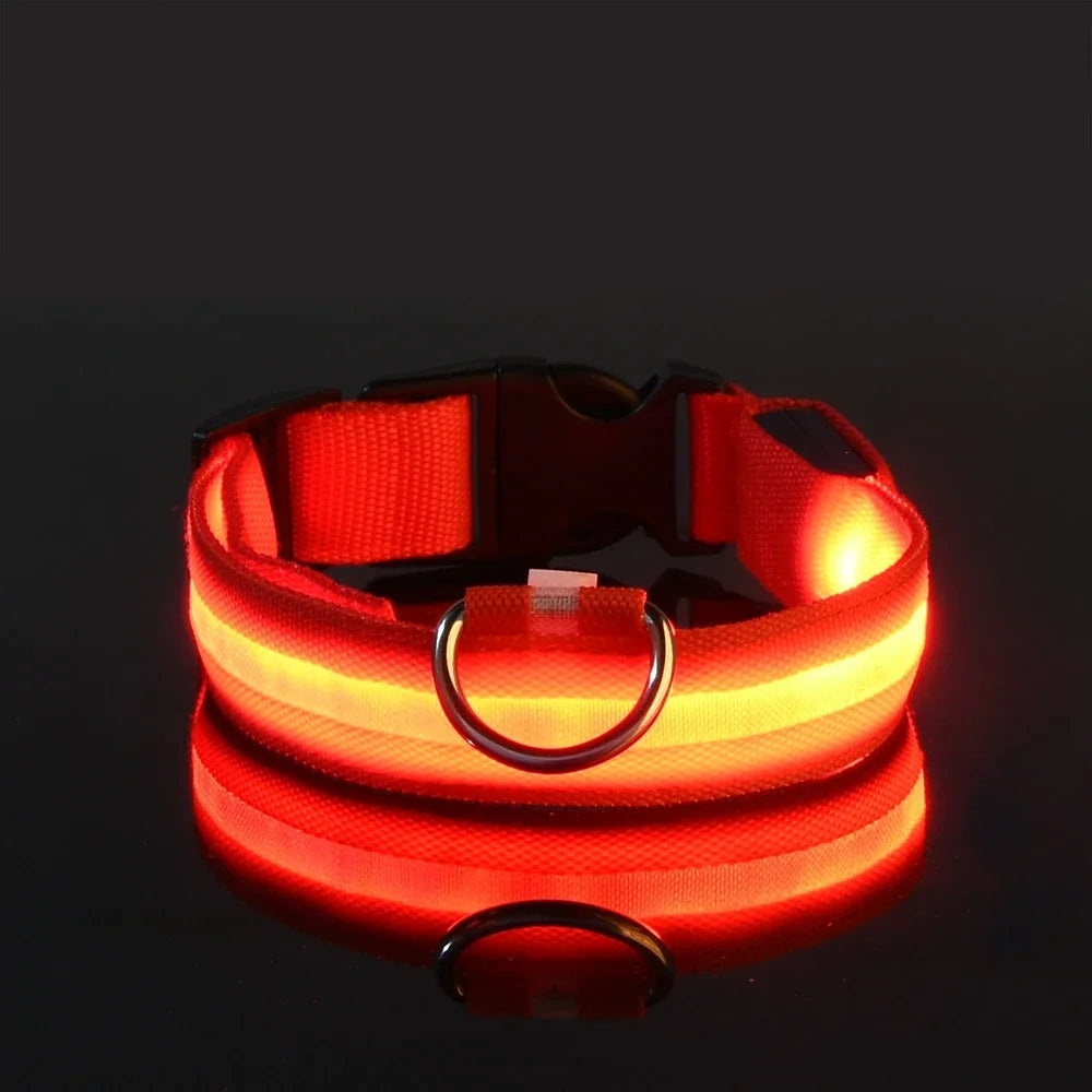 LED Safety Dog Leash – Glows for Night Walks - Pet Vip Store