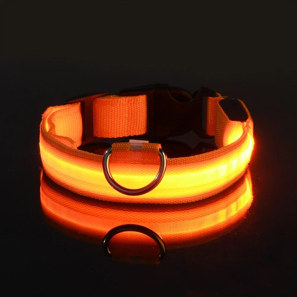 LED Safety Dog Leash – Glows for Night Walks - Pet Vip Store