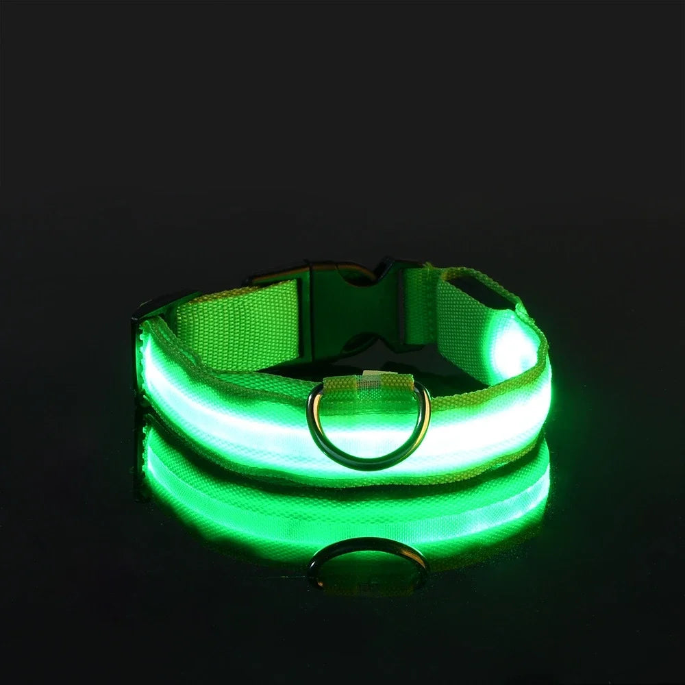 LED Safety Dog Leash – Glows for Night Walks - Pet Vip Store
