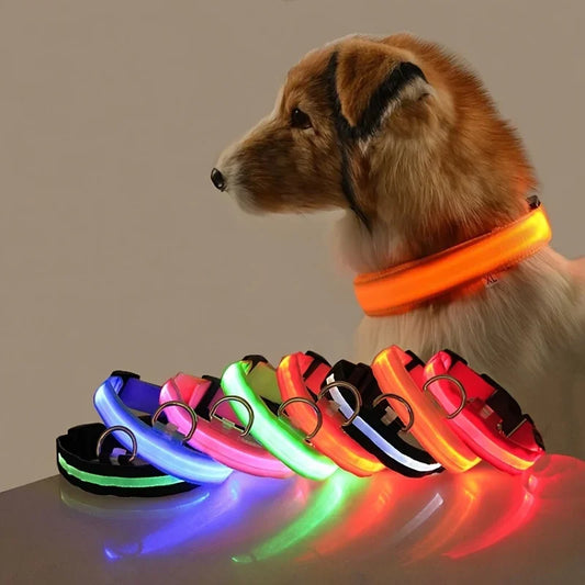 LED Safety Dog Leash – Glows for Night Walks - Pet Vip Store