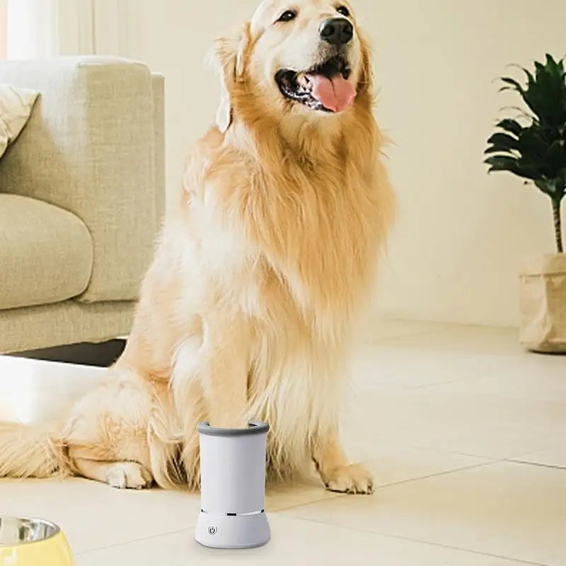 Say Goodbye to Dirty Paws – Meet Your New Favorite Pet Gadget!